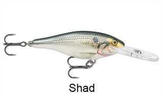 Rapala Shad Rap Deep