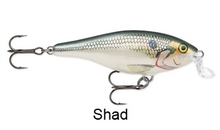 Rapala Shallow Shad Rap
