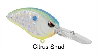 SPRO John Crews Little John Micro DD 45 Crankbait
