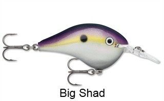 Rapala DT16 (Dives-To) Series