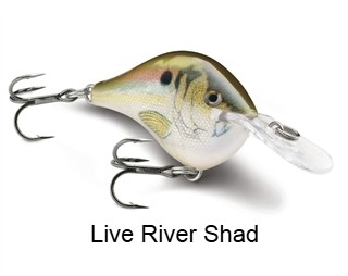 Rapala DT16 (Dives-To) Series