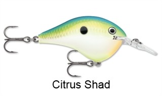 Rapala DT16 (Dives-To) Series
