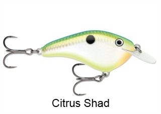 Rapala Ott's Garage Series Slim Crankbait