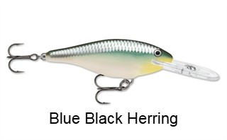 Rapala Shad Rap Deep