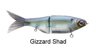 SPRO KGB Chad Shad 180 Glide Bait