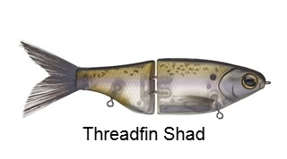 SPRO KGB Chad Shad 180 Glide Bait